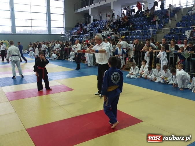 Zdjęcie w galerii na portalu naszraciborz.pl: Najmłodsi raciborzanie na katowickich matach  wiadomości z regionu