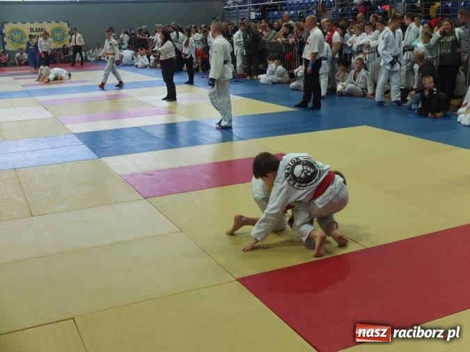 Zdjęcie w galerii na portalu naszraciborz.pl: Najmłodsi raciborzanie na katowickich matach  wiadomości z regionu