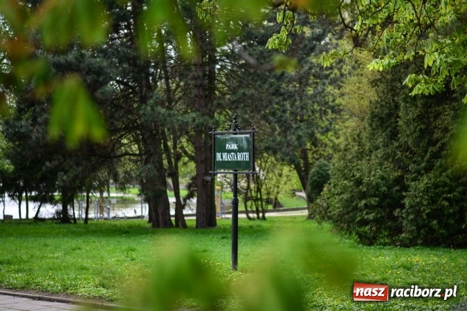 Zdjęcie w galerii na portalu naszraciborz.pl: Wiosenne przebłyski w Raciborzu  wiadomości z regionu