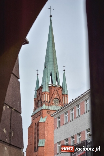 Zdjęcie w galerii na portalu naszraciborz.pl: Wiosenne przebłyski w Raciborzu  wiadomości z regionu