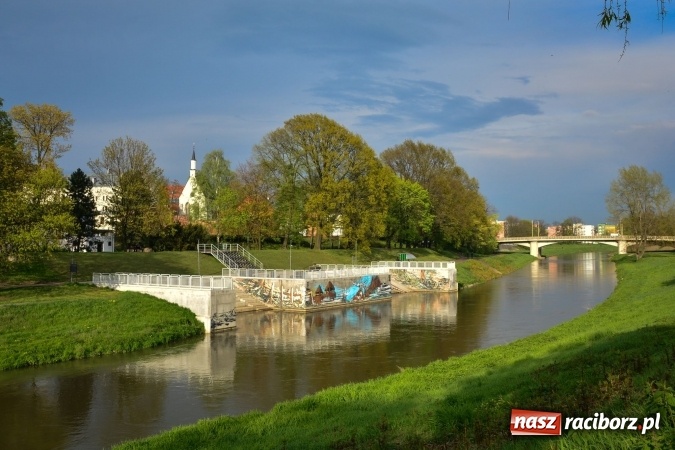 Zdjęcie w galerii na portalu naszraciborz.pl: Wiosenne przebłyski w Raciborzu  wiadomości z regionu