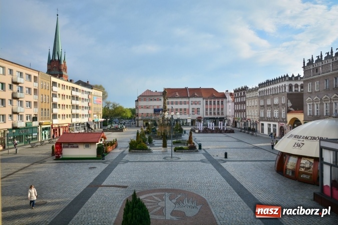 Zdjęcie w galerii na portalu naszraciborz.pl: Wiosenne przebłyski w Raciborzu  wiadomości z regionu