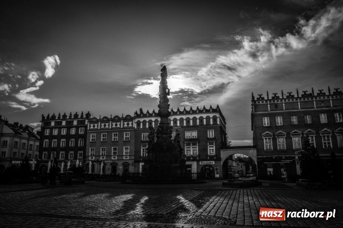 Zdjęcie w galerii na portalu naszraciborz.pl: Wiosenne przebłyski w Raciborzu  wiadomości z regionu