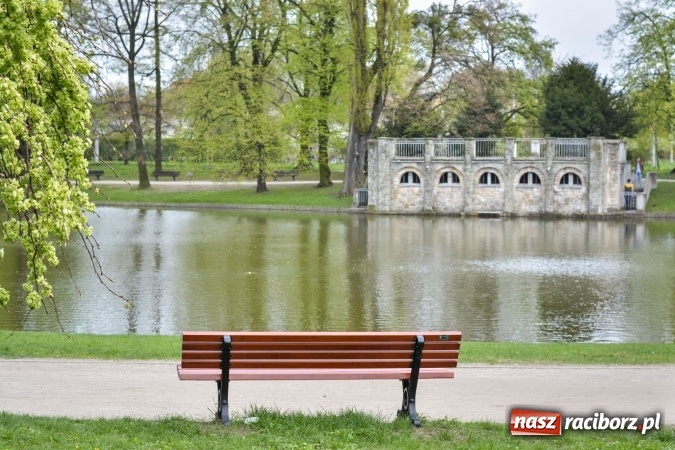 Zdjęcie w galerii na portalu naszraciborz.pl: Wiosenne przebłyski w Raciborzu  wiadomości z regionu
