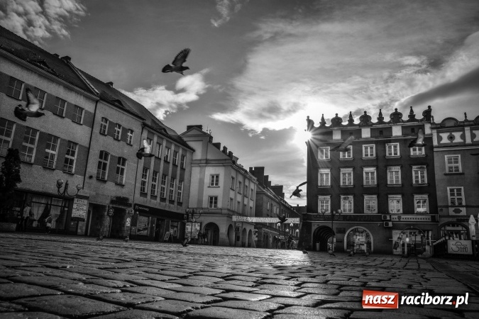 Zdjęcie w galerii na portalu naszraciborz.pl: Wiosenne przebłyski w Raciborzu  wiadomości z regionu