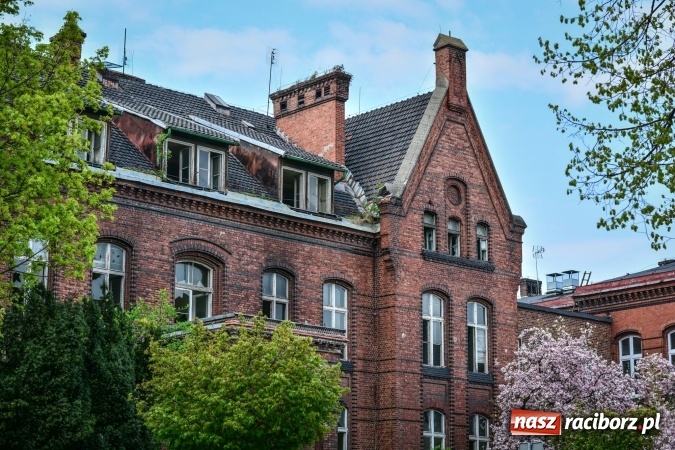 Zdjęcie w galerii na portalu naszraciborz.pl: Wiosenne przebłyski w Raciborzu  wiadomości z regionu