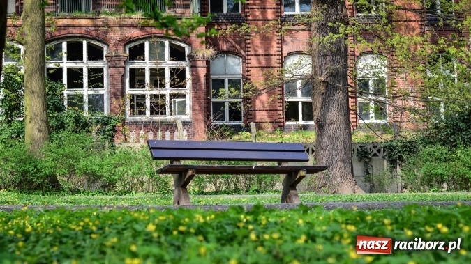 Zdjęcie w galerii na portalu naszraciborz.pl: Wiosenne przebłyski w Raciborzu  wiadomości z regionu