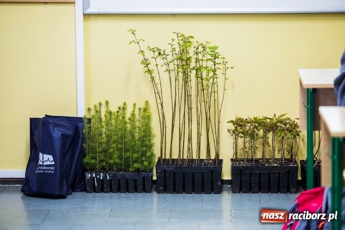 Zdjęcie w galerii na portalu naszraciborz.pl: XI Powiatowy Konkurs Ekologiczny i śniadanie ekologiczne w II LO wiadomości z regionu