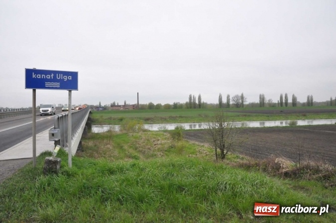Zdjęcie w galerii na portalu naszraciborz.pl: Mocniej popada. Podnosi się stan wody w Odrze  wiadomości z regionu