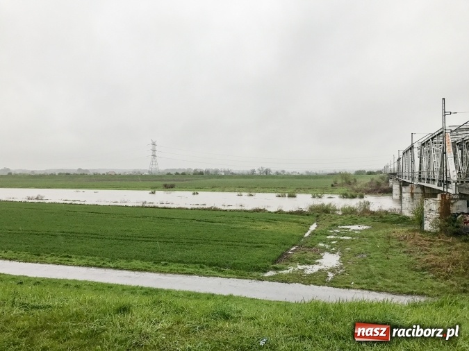 Zdjęcie w galerii na portalu naszraciborz.pl: Wojewoda śląski ogłosił w powiecie raciborskim pogotowie przeciwpowodziowwe wiadomości z regionu
