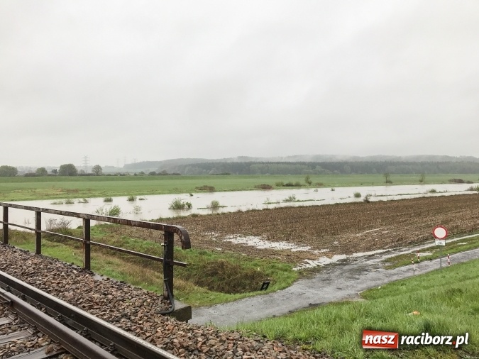 Zdjęcie w galerii na portalu naszraciborz.pl: Wojewoda śląski ogłosił w powiecie raciborskim pogotowie przeciwpowodziowwe wiadomości z regionu