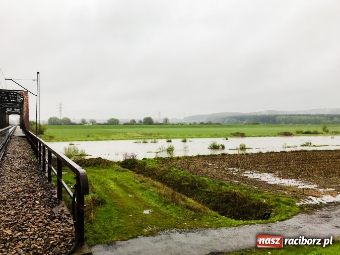 Zdjęcie w galerii na portalu naszraciborz.pl: Wojewoda śląski ogłosił w powiecie raciborskim pogotowie przeciwpowodziowwe wiadomości z regionu