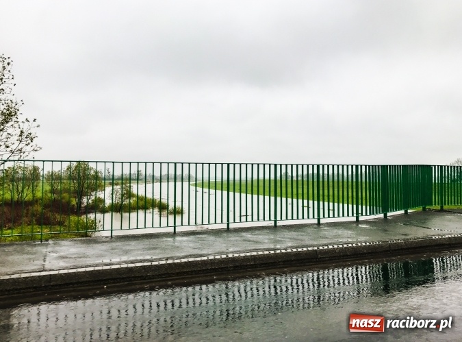 Zdjęcie w galerii na portalu naszraciborz.pl: Wojewoda śląski ogłosił w powiecie raciborskim pogotowie przeciwpowodziowwe wiadomości z regionu