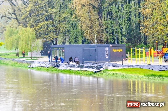 Zdjęcie w galerii na portalu naszraciborz.pl: Rozpoczęło się ratowanie plaży miejskiej przy zamku. Woda wdziera się na bulwary nadodrzańskie FOTO wiadomości z regionu