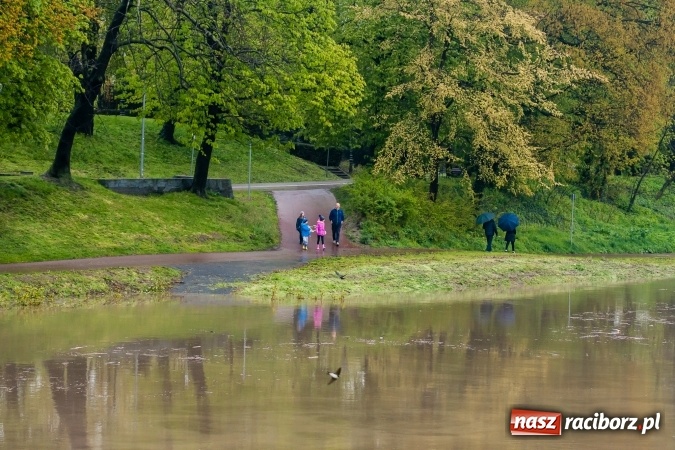 Zdjęcie w galerii na portalu naszraciborz.pl: Rozpoczęło się ratowanie plaży miejskiej przy zamku. Woda wdziera się na bulwary nadodrzańskie FOTO wiadomości z regionu