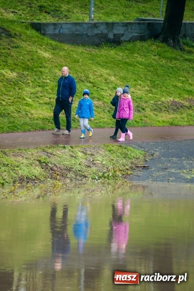 Zdjęcie w galerii na portalu naszraciborz.pl: Rozpoczęło się ratowanie plaży miejskiej przy zamku. Woda wdziera się na bulwary nadodrzańskie FOTO wiadomości z regionu