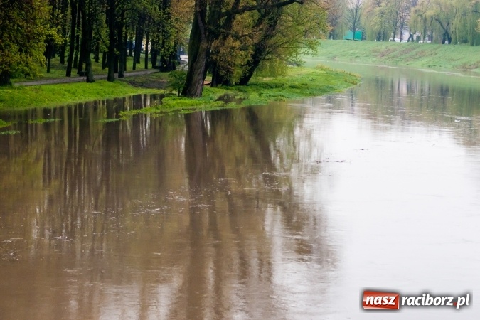 Zdjęcie w galerii na portalu naszraciborz.pl: Rozpoczęło się ratowanie plaży miejskiej przy zamku. Woda wdziera się na bulwary nadodrzańskie FOTO wiadomości z regionu