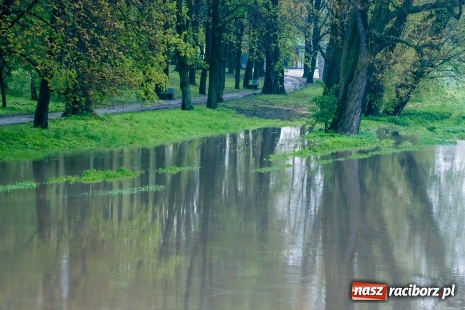 Zdjęcie w galerii na portalu naszraciborz.pl: Rozpoczęło się ratowanie plaży miejskiej przy zamku. Woda wdziera się na bulwary nadodrzańskie FOTO wiadomości z regionu
