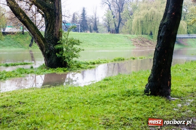 Zdjęcie w galerii na portalu naszraciborz.pl: Rozpoczęło się ratowanie plaży miejskiej przy zamku. Woda wdziera się na bulwary nadodrzańskie FOTO wiadomości z regionu