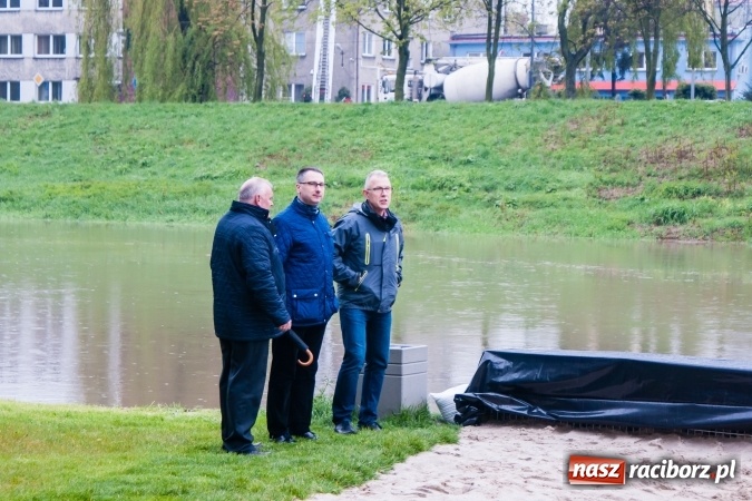 Zdjęcie w galerii na portalu naszraciborz.pl: Rozpoczęło się ratowanie plaży miejskiej przy zamku. Woda wdziera się na bulwary nadodrzańskie FOTO wiadomości z regionu