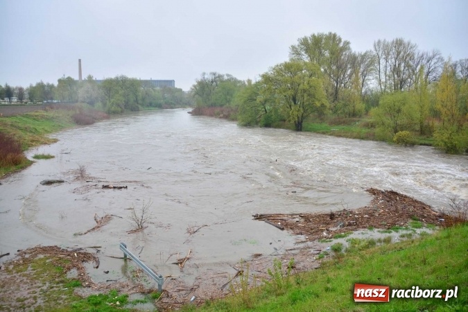 Zdjęcie w galerii na portalu naszraciborz.pl: Woda szybko przybiera. Zalewa ścieżkę rowerową pod Mostem Zamkowym. Konieczne było udrożnienie śluzy przy Rafako wiadomości z regionu