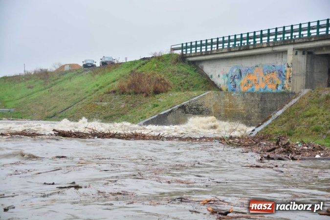 Zdjęcie w galerii na portalu naszraciborz.pl: Woda szybko przybiera. Zalewa ścieżkę rowerową pod Mostem Zamkowym. Konieczne było udrożnienie śluzy przy Rafako wiadomości z regionu