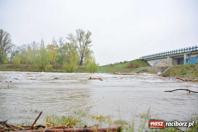 Zdjęcie w galerii na portalu naszraciborz.pl: Woda szybko przybiera. Zalewa ścieżkę rowerową pod Mostem Zamkowym. Konieczne było udrożnienie śluzy przy Rafako wiadomości z regionu