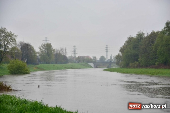 Zdjęcie w galerii na portalu naszraciborz.pl: Woda szybko przybiera. Zalewa ścieżkę rowerową pod Mostem Zamkowym. Konieczne było udrożnienie śluzy przy Rafako wiadomości z regionu