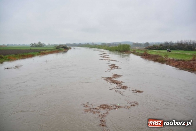 Zdjęcie w galerii na portalu naszraciborz.pl: Woda szybko przybiera. Zalewa ścieżkę rowerową pod Mostem Zamkowym. Konieczne było udrożnienie śluzy przy Rafako wiadomości z regionu