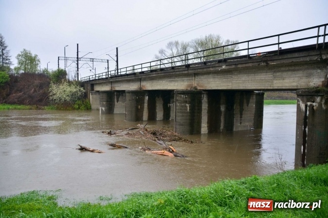 Zdjęcie w galerii na portalu naszraciborz.pl: Woda szybko przybiera. Zalewa ścieżkę rowerową pod Mostem Zamkowym. Konieczne było udrożnienie śluzy przy Rafako wiadomości z regionu