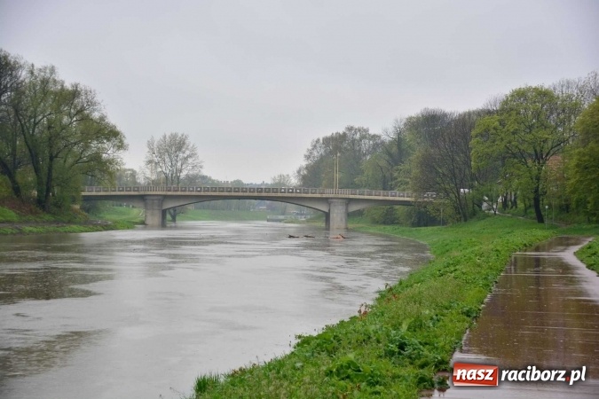 Zdjęcie w galerii na portalu naszraciborz.pl: Woda szybko przybiera. Zalewa ścieżkę rowerową pod Mostem Zamkowym. Konieczne było udrożnienie śluzy przy Rafako wiadomości z regionu