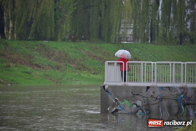 Zdjęcie w galerii na portalu naszraciborz.pl: Woda szybko przybiera. Zalewa ścieżkę rowerową pod Mostem Zamkowym. Konieczne było udrożnienie śluzy przy Rafako wiadomości z regionu