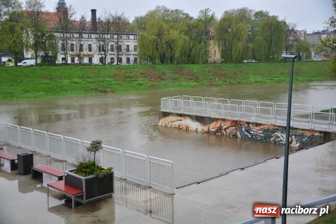 Zdjęcie w galerii na portalu naszraciborz.pl: Woda szybko przybiera. Zalewa ścieżkę rowerową pod Mostem Zamkowym. Konieczne było udrożnienie śluzy przy Rafako wiadomości z regionu