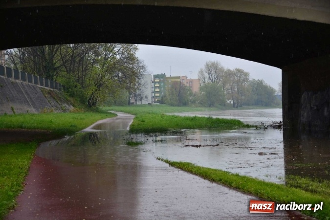 Zdjęcie w galerii na portalu naszraciborz.pl: Woda szybko przybiera. Zalewa ścieżkę rowerową pod Mostem Zamkowym. Konieczne było udrożnienie śluzy przy Rafako wiadomości z regionu
