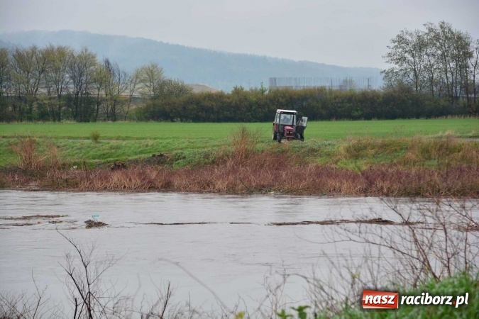 Zdjęcie w galerii na portalu naszraciborz.pl: Woda szybko przybiera. Zalewa ścieżkę rowerową pod Mostem Zamkowym. Konieczne było udrożnienie śluzy przy Rafako wiadomości z regionu