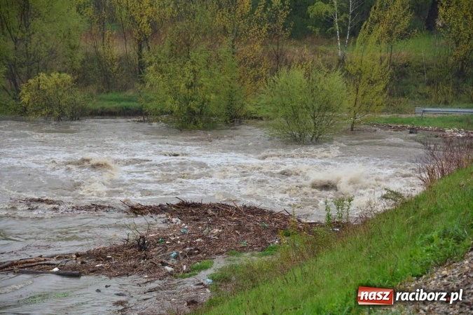 Zdjęcie w galerii na portalu naszraciborz.pl: Woda szybko przybiera. Zalewa ścieżkę rowerową pod Mostem Zamkowym. Konieczne było udrożnienie śluzy przy Rafako wiadomości z regionu