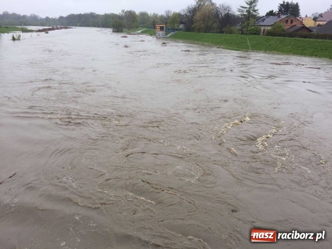 Zdjęcie w galerii na portalu naszraciborz.pl: Woda szybko przybiera. Zalewa ścieżkę rowerową pod Mostem Zamkowym. Konieczne było udrożnienie śluzy przy Rafako wiadomości z regionu
