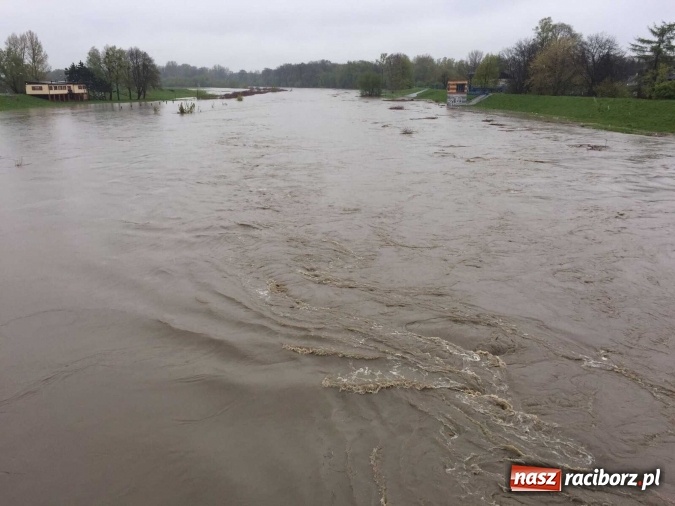 Zdjęcie w galerii na portalu naszraciborz.pl: Woda szybko przybiera. Zalewa ścieżkę rowerową pod Mostem Zamkowym. Konieczne było udrożnienie śluzy przy Rafako wiadomości z regionu