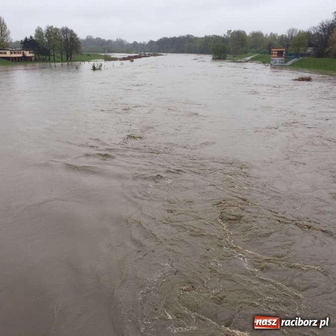 Zdjęcie w galerii na portalu naszraciborz.pl: Woda szybko przybiera. Zalewa ścieżkę rowerową pod Mostem Zamkowym. Konieczne było udrożnienie śluzy przy Rafako wiadomości z regionu