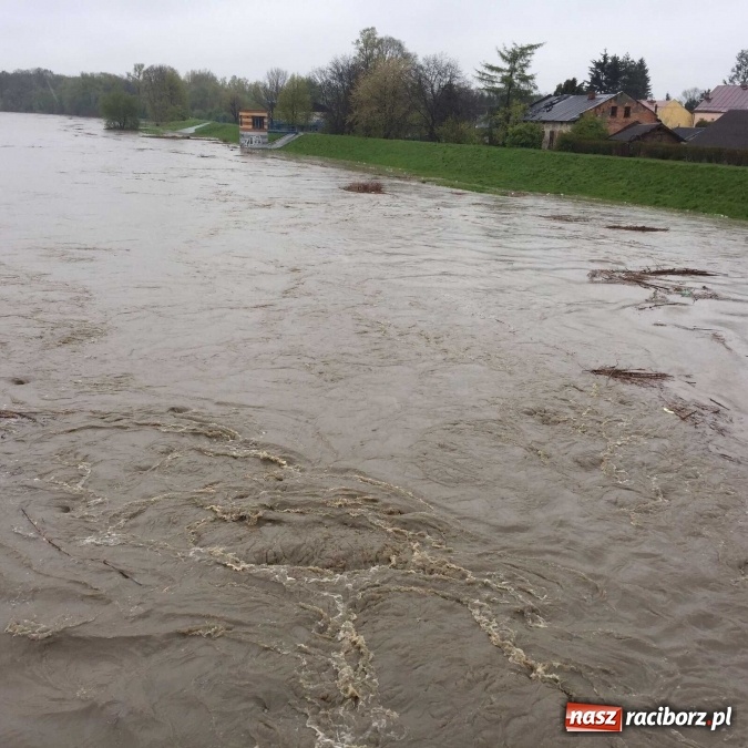 Zdjęcie w galerii na portalu naszraciborz.pl: Woda szybko przybiera. Zalewa ścieżkę rowerową pod Mostem Zamkowym. Konieczne było udrożnienie śluzy przy Rafako wiadomości z regionu