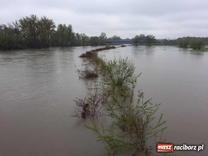 Zdjęcie w galerii na portalu naszraciborz.pl: Woda szybko przybiera. Zalewa ścieżkę rowerową pod Mostem Zamkowym. Konieczne było udrożnienie śluzy przy Rafako wiadomości z regionu