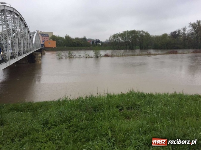 Zdjęcie w galerii na portalu naszraciborz.pl: Woda szybko przybiera. Zalewa ścieżkę rowerową pod Mostem Zamkowym. Konieczne było udrożnienie śluzy przy Rafako wiadomości z regionu