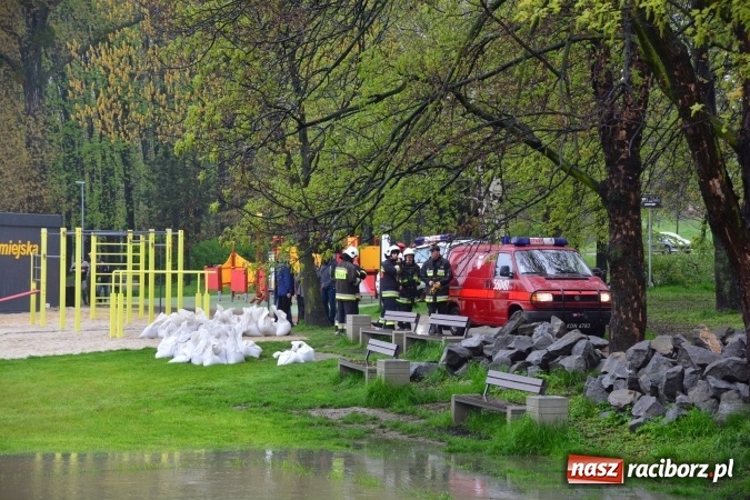 Zdjęcie w galerii na portalu naszraciborz.pl: W piątek rano przez Racibórz przejdzie kulminacyjna fala powodziowa. Plaży grozi zalanie! wiadomości z regionu