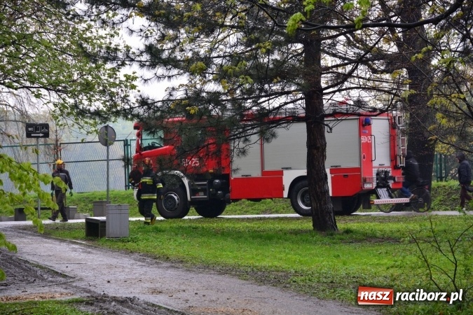 Zdjęcie w galerii na portalu naszraciborz.pl: W piątek rano przez Racibórz przejdzie kulminacyjna fala powodziowa. Plaży grozi zalanie! wiadomości z regionu