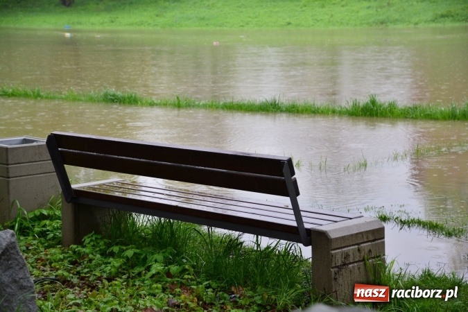 Zdjęcie w galerii na portalu naszraciborz.pl: W piątek rano przez Racibórz przejdzie kulminacyjna fala powodziowa. Plaży grozi zalanie! wiadomości z regionu