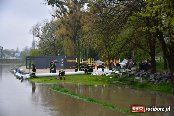 Zdjęcie w galerii na portalu naszraciborz.pl: W piątek rano przez Racibórz przejdzie kulminacyjna fala powodziowa. Plaży grozi zalanie! wiadomości z regionu