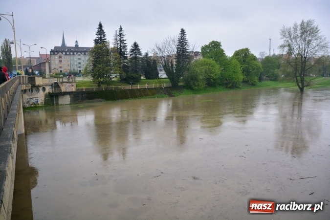 Zdjęcie w galerii na portalu naszraciborz.pl: W piątek rano przez Racibórz przejdzie kulminacyjna fala powodziowa. Plaży grozi zalanie! wiadomości z regionu