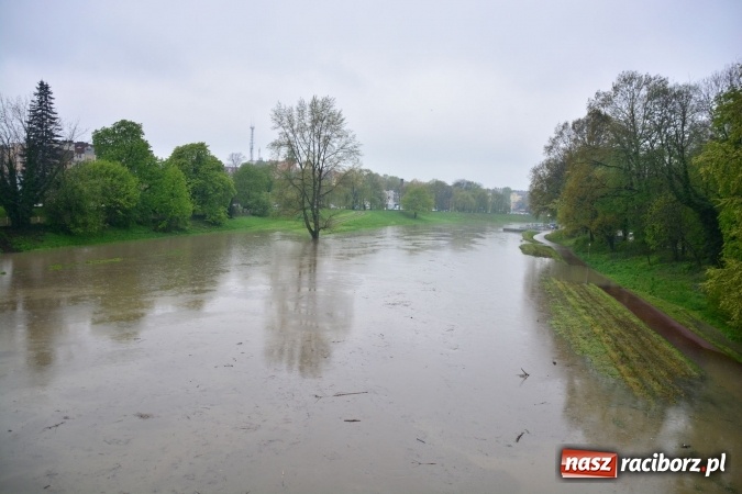 Zdjęcie w galerii na portalu naszraciborz.pl: W piątek rano przez Racibórz przejdzie kulminacyjna fala powodziowa. Plaży grozi zalanie! wiadomości z regionu