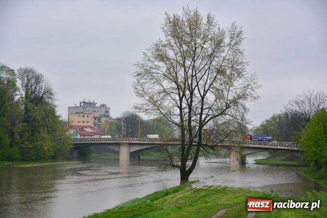 Zdjęcie w galerii na portalu naszraciborz.pl: W piątek rano przez Racibórz przejdzie kulminacyjna fala powodziowa. Plaży grozi zalanie! wiadomości z regionu