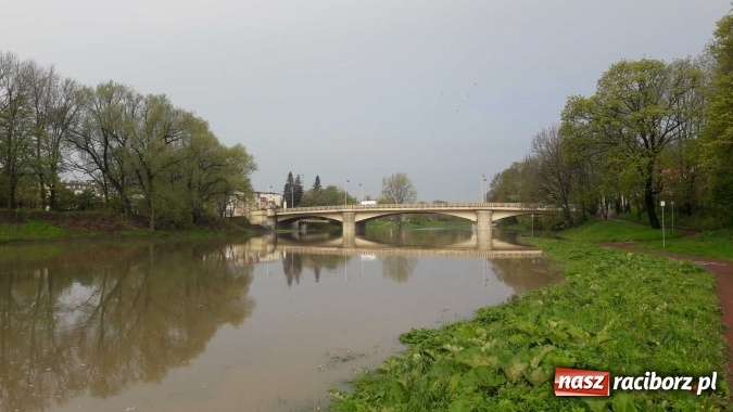 Zdjęcie w galerii na portalu naszraciborz.pl: Poziom Odry w Chałupkach opada. Zagrożenie mija  wiadomości z regionu